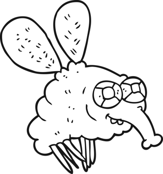 hand drawn black and white cartoon fly png