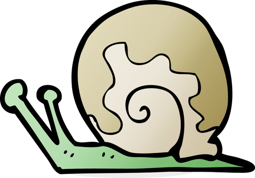cartoon snail drawing png