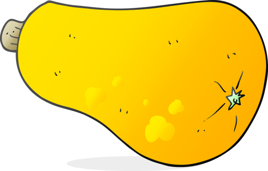 hand drawn cartoon butternut squash png