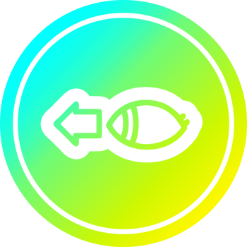 staring eye circular icon with cool gradient finish png