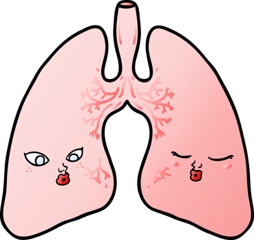 cartoon lungs drawing png