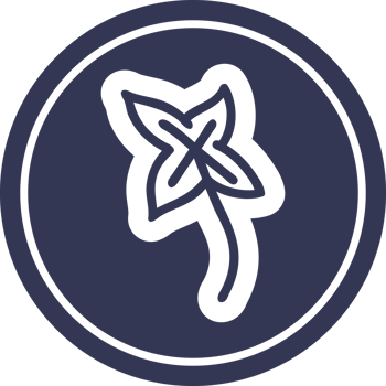 natural leaf circular icon symbol png