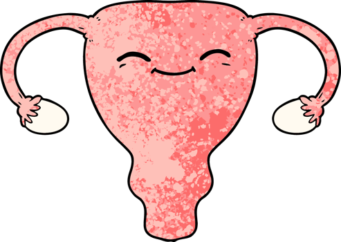 cartoon uterus drawing png