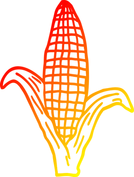 warm gradient line drawing cartoon healthy corn png