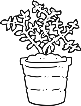 black and white cartoon plant png