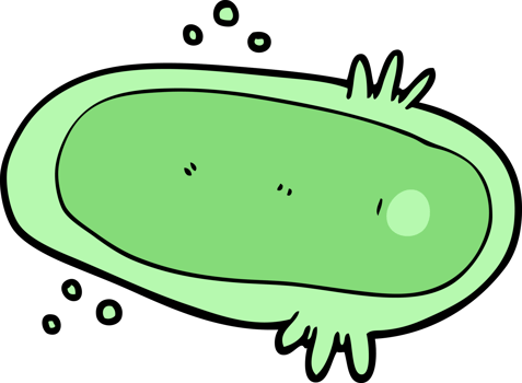 cartoon amoeba drawing png