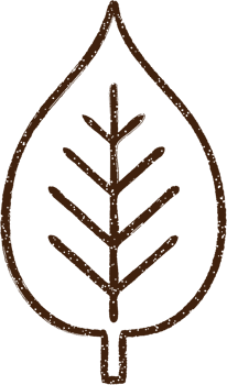 Leaf Charcoal Drawing png