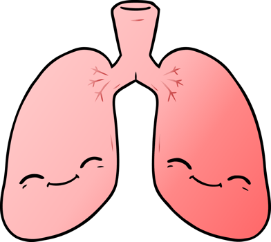 cartoon lungs drawing png