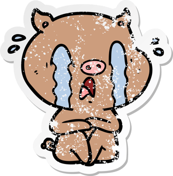 distressed sticker of a crying pig cartoon png