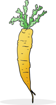 freehand drawn cartoon carrot drawing png