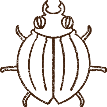 Bug Charcoal Drawing png
