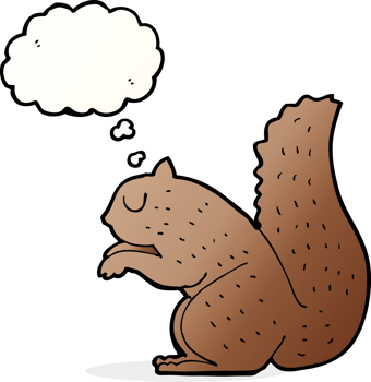 cartoon squirrel with thought bubble png