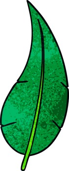 textured cartoon doodle of a green long leaf png