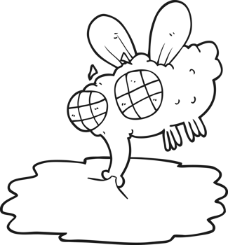 black and white cartoon gross fly png