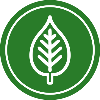 natural leaf circular icon symbol png