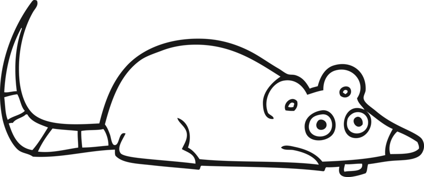 cartoon mouse drawing png