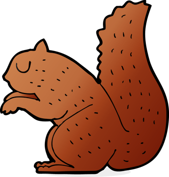 cartoon squirrel drawing png