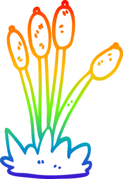 rainbow gradient line drawing of a cartoon bed of reeds png