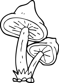 drawn black and white cartoon mushroom png