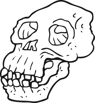 drawn black and white cartoon ancient skull png