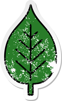 distressed sticker of a cute cartoon green leaf png