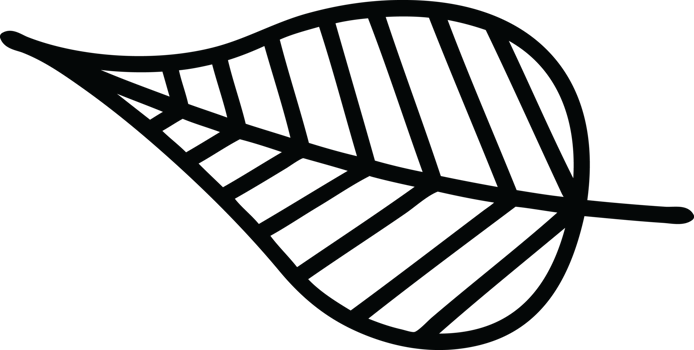 natural leaf icon symbol png