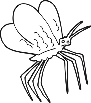 drawn black and white cartoon butterfly png