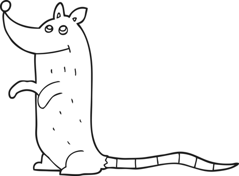drawn black and white cartoon rat png