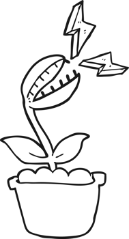 drawn black and white cartoon venus fly trap png