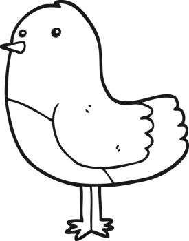 cartoon bird drawing png