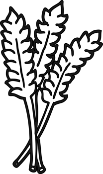 cartoon wheat icon png