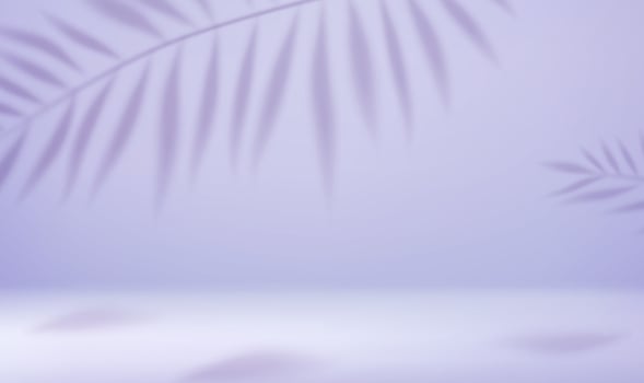 3d Empty light studio abstract background with spotlight effect and tropical palm leaves shadow. concept for your graphic design poster banner and backdrop. 3d rendering. Vector illustration