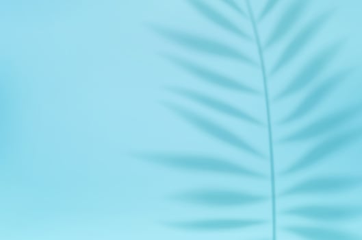 3d Empty light studio abstract background with spotlight effect and tropical palm leaves shadow. concept for your graphic design poster banner and backdrop. 3d rendering. Vector illustration