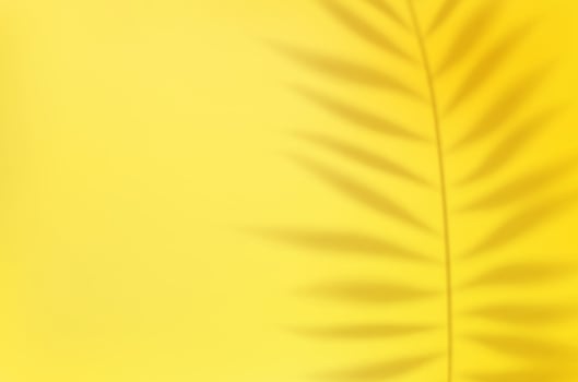 3d Empty light studio abstract background with spotlight effect and tropical palm leaves shadow. concept for your graphic design poster banner and backdrop. 3d rendering. Vector illustration