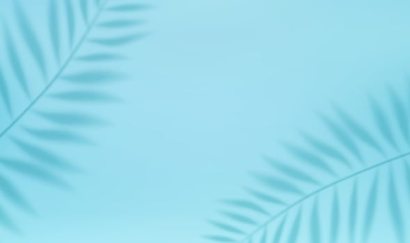 3d Empty light studio abstract background with spotlight effect and tropical palm leaves shadow. concept for your graphic design poster banner and backdrop. 3d rendering. Vector illustration