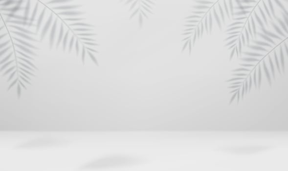 3d Empty light studio abstract background with spotlight effect and tropical palm leaves shadow. concept for your graphic design poster banner and backdrop. 3d rendering. Vector illustration