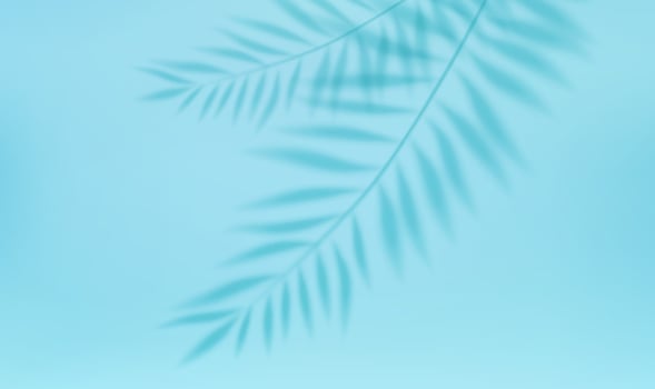 3d Empty light studio abstract background with spotlight effect and tropical palm leaves shadow. concept for your graphic design poster banner and backdrop. 3d rendering. Vector illustration