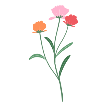 orange flower blossom png
