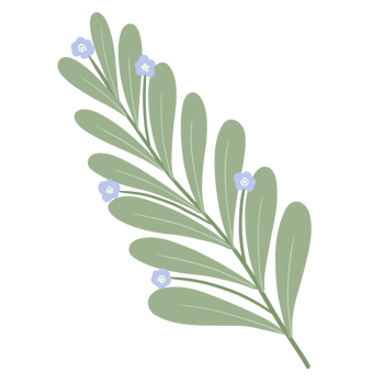 blue flower blossom png