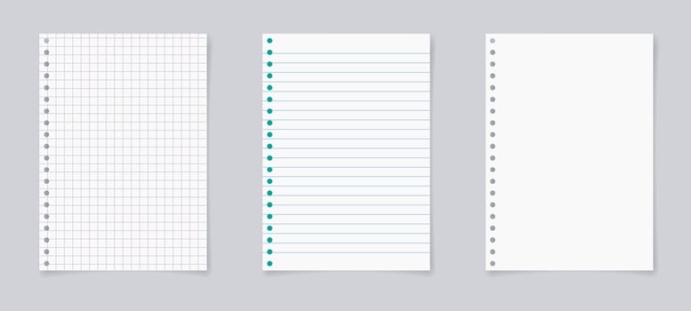 Paper page of notebook. School sheet with lines and grid. Notepad for mathematics and letter. Realistic blank notepaper with shadow isolated on gray background. vector illustration.