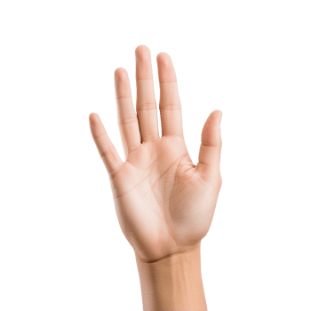 AI generated Hand isolated on transparent background png
