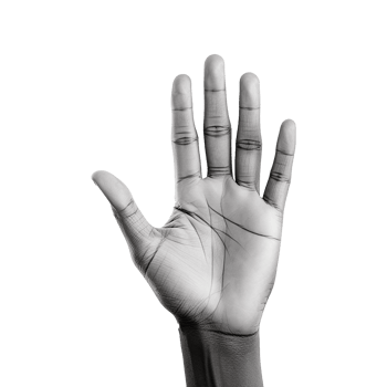 AI generated Hand isolated on transparent background png