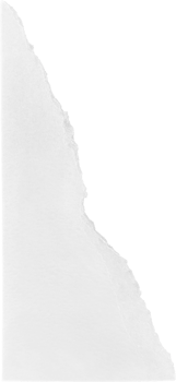 White Ripped Paper png