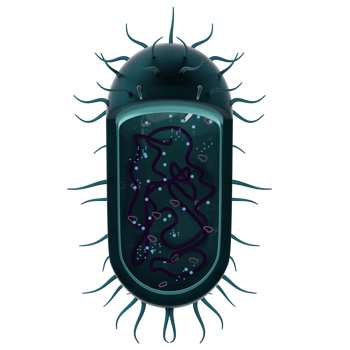 Bacteria 3d rendered icon isolated png