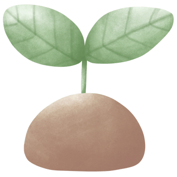 Illustration of a sapling growing from the soil png