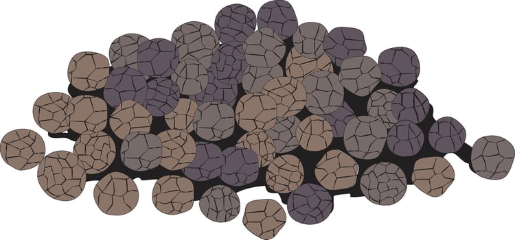 Black pepper isolated vector illustration