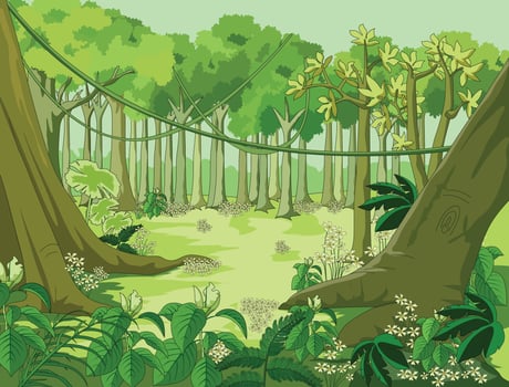 Forest vector illustration