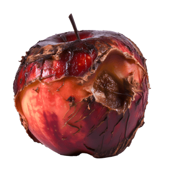AI generated Rotten Apple Illustrates Unhealthy Eating A Close-Up View of Decay and Unwholesome Food png