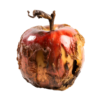AI generated Rotten Apple Illustrates Unhealthy Eating A Close-Up View of Decay and Unwholesome Food png