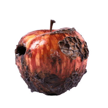 AI generated Rotten Apple Illustrates Unhealthy Eating A Close-Up View of Decay and Unwholesome Food png